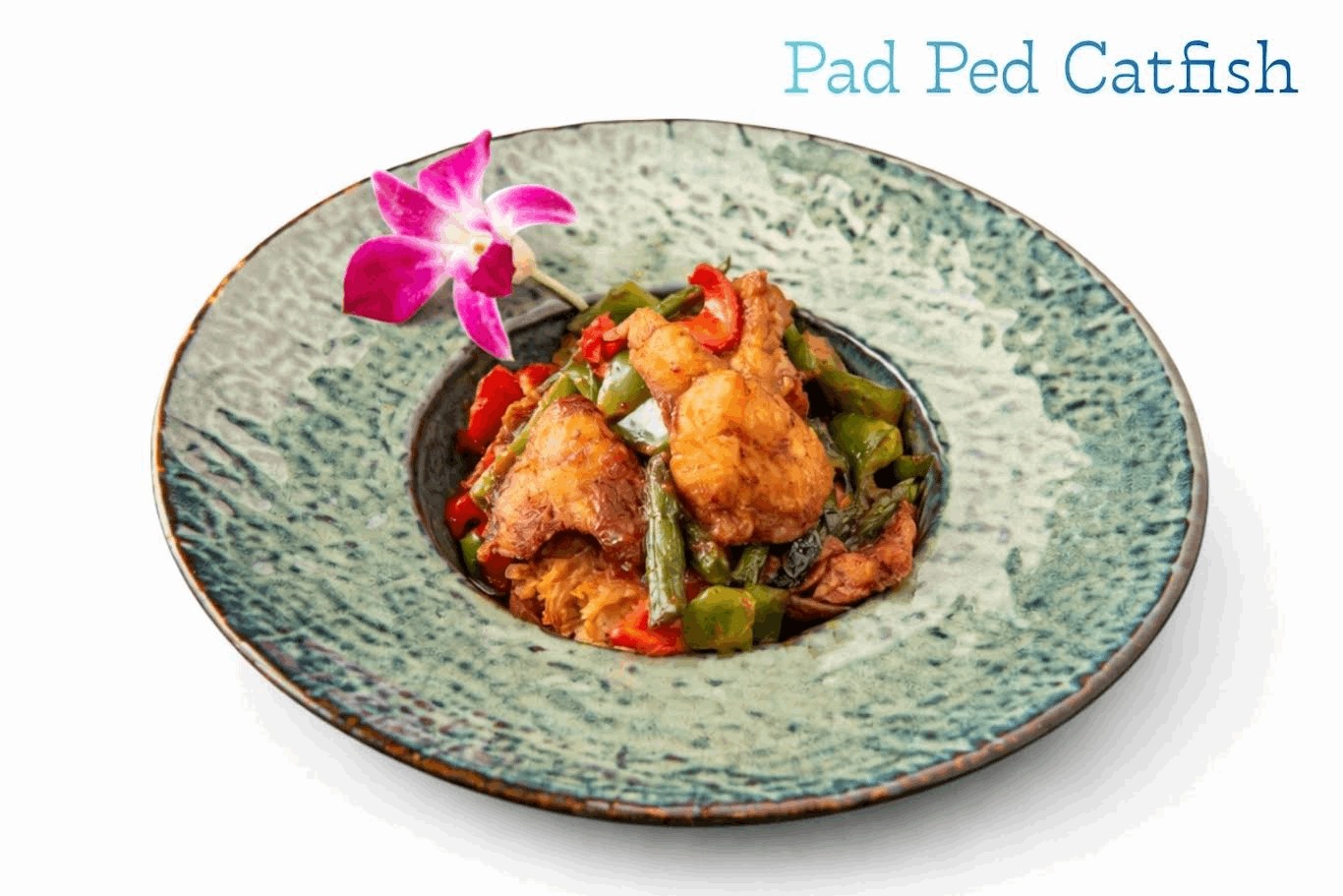Pad Ped Catfish.