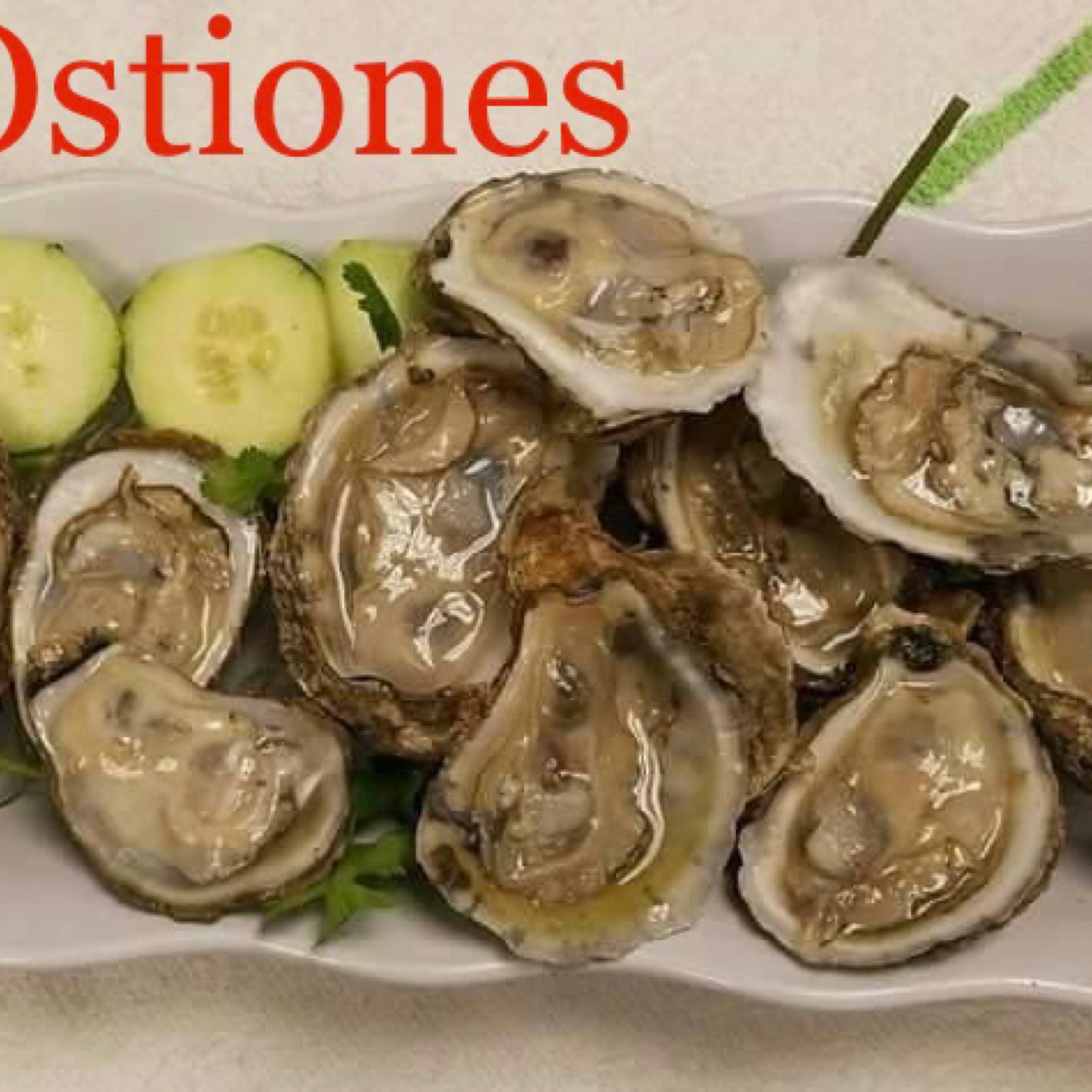 OSTIONES (6).