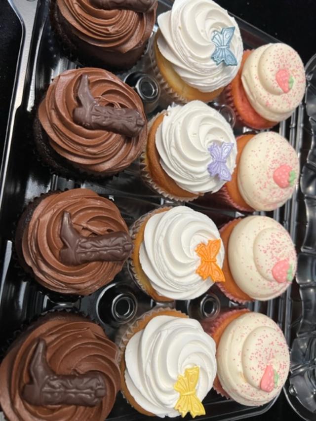 Neapolitan Cupcakes 1 Dozen.
