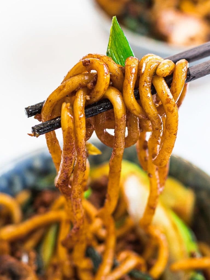 Japanese Udon Noodles.