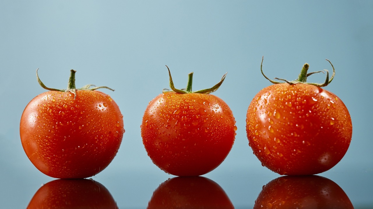 Tomato.