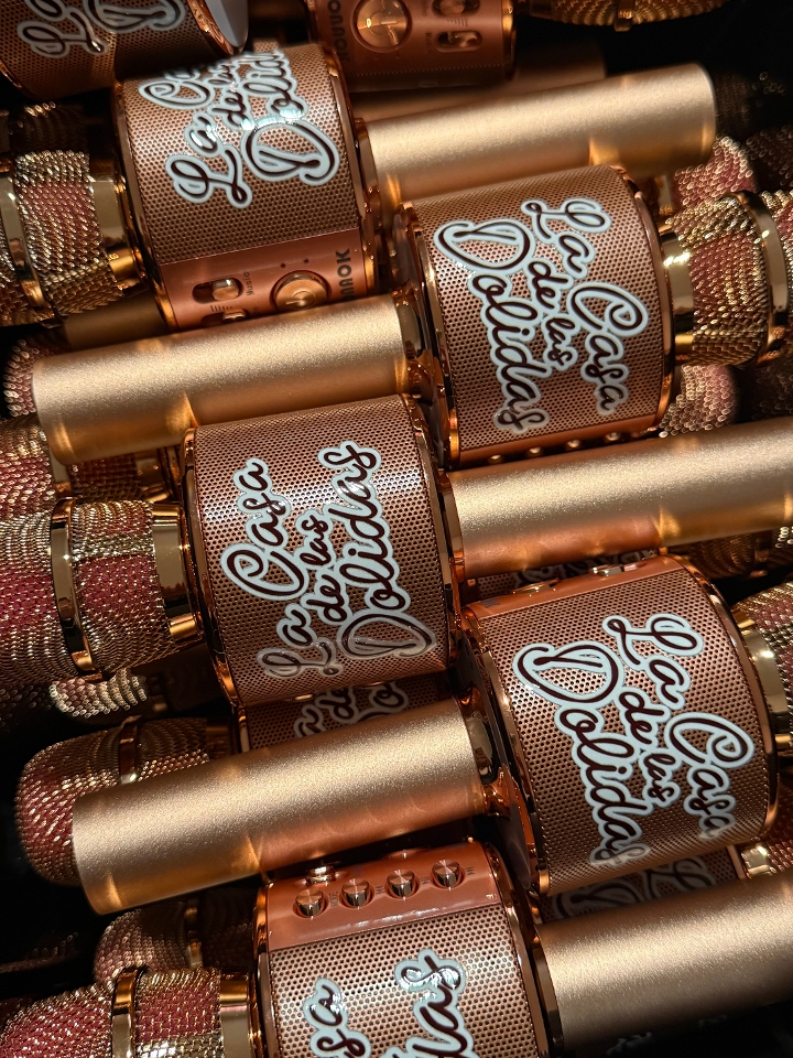 La Casa de las Dolidas –microphone.