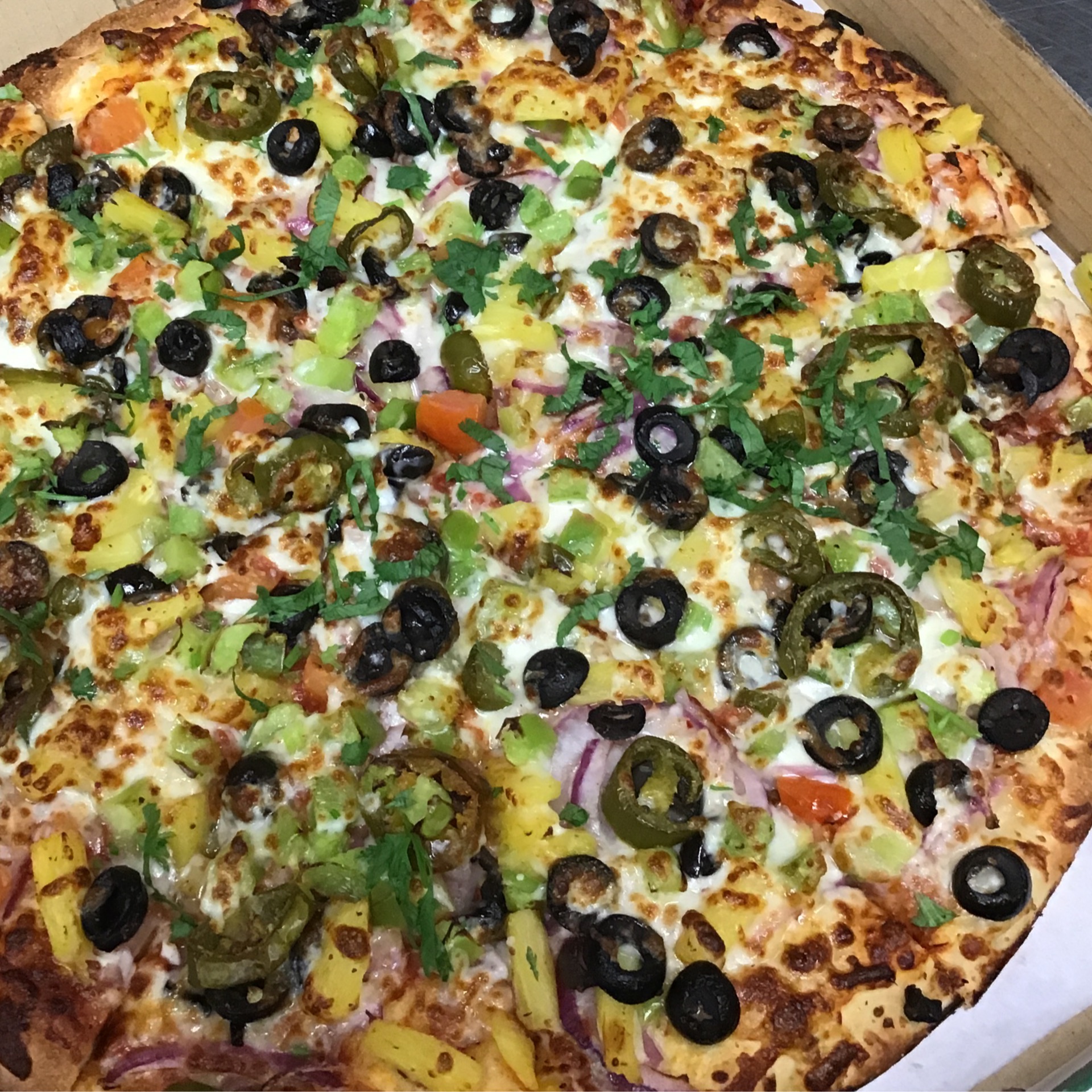 Veggie Delight Pizza.