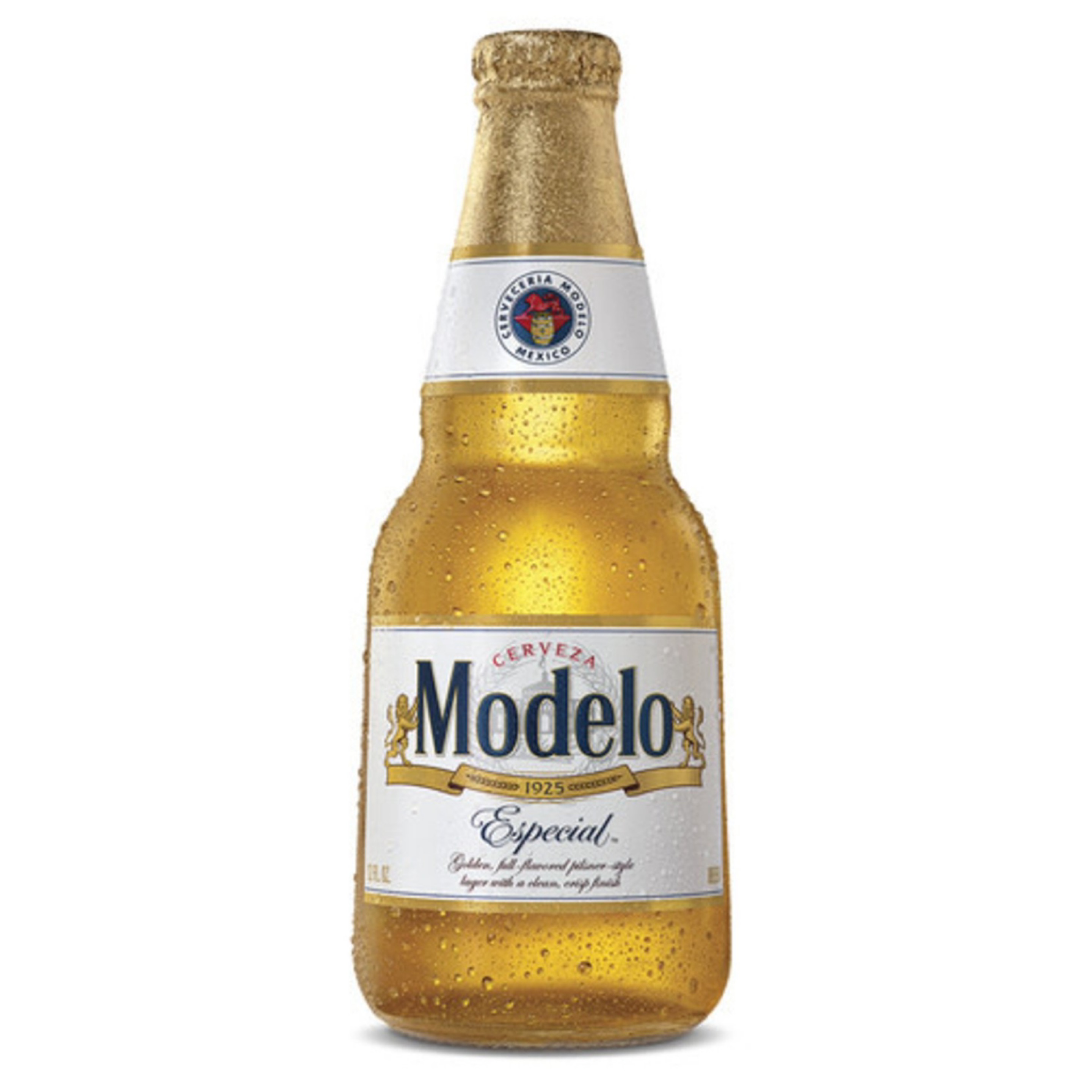 Modelo.