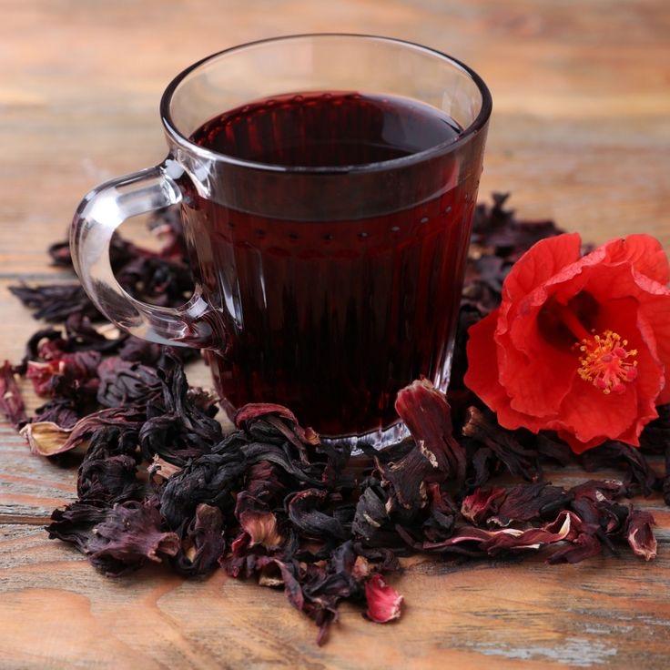 HIBISCUS.