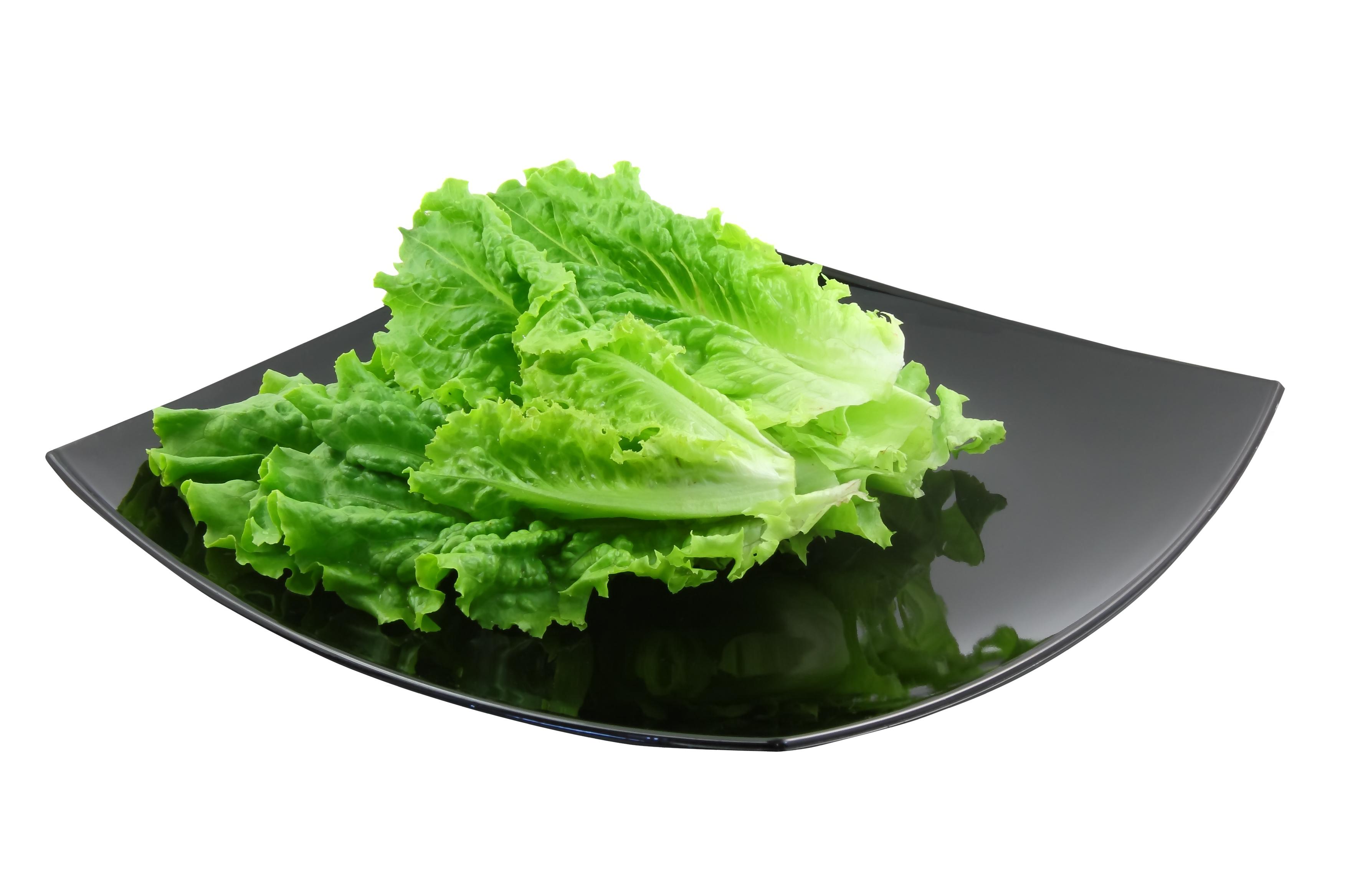 Lettuce.