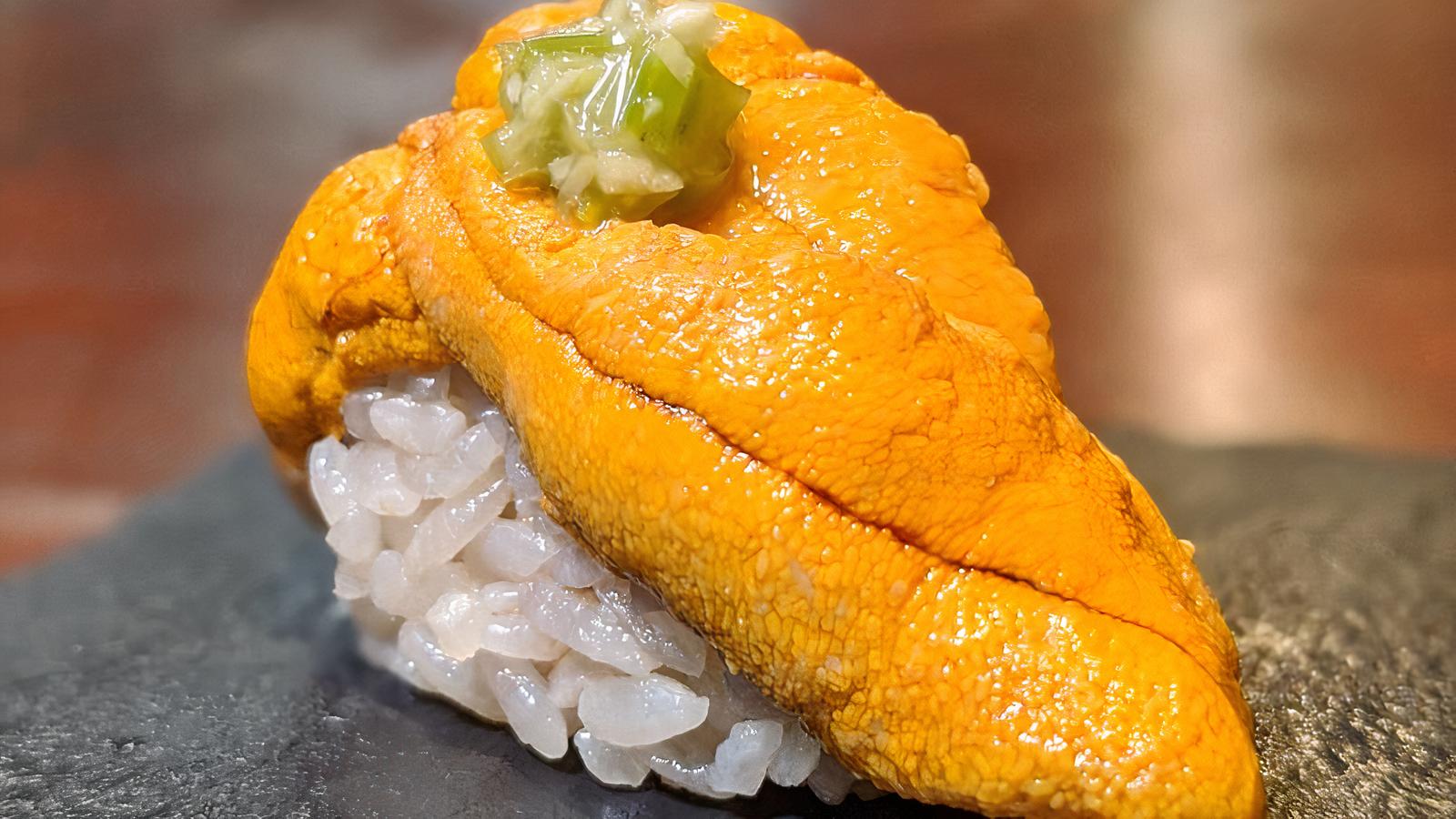 Sea Urchin (Santa Barbara Uni).