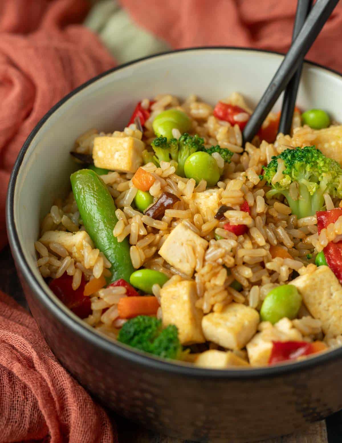 Vegetarian Fried Rice.