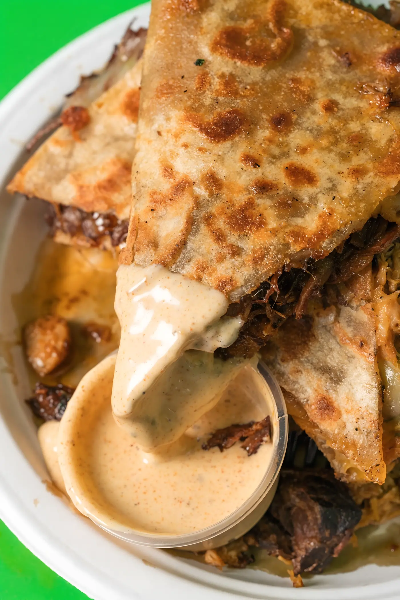 Nihari Birria Quesadilla.