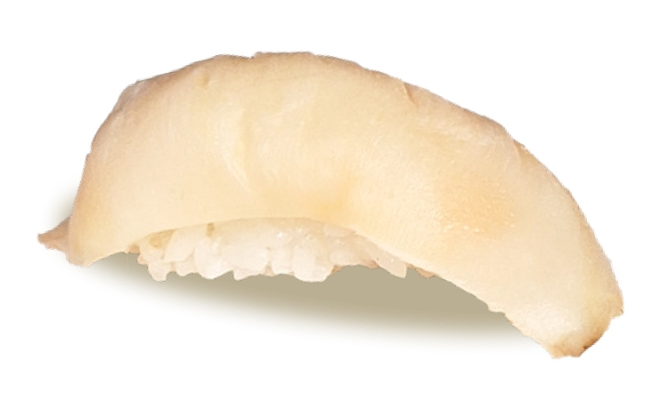 Conch.