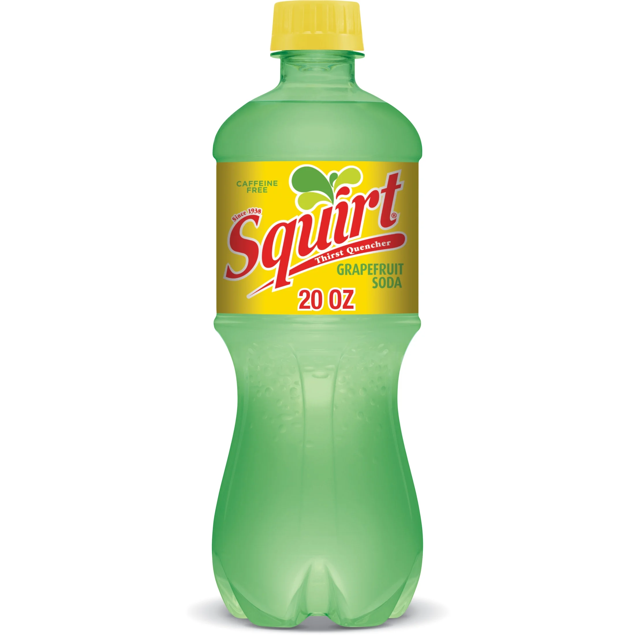 Squirt Bottle 20 oz.