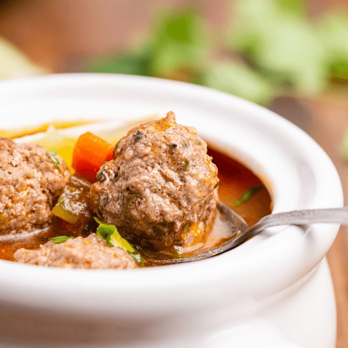 ALBONDIGAS BOWL.