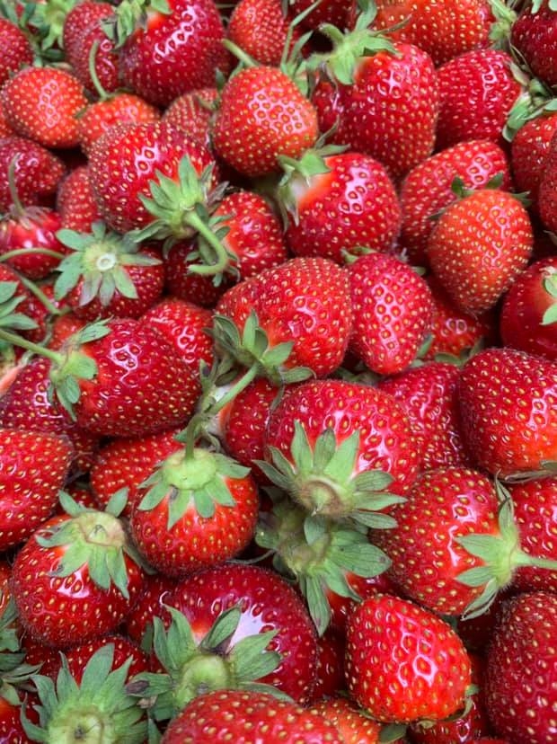 Fresh Fruit.