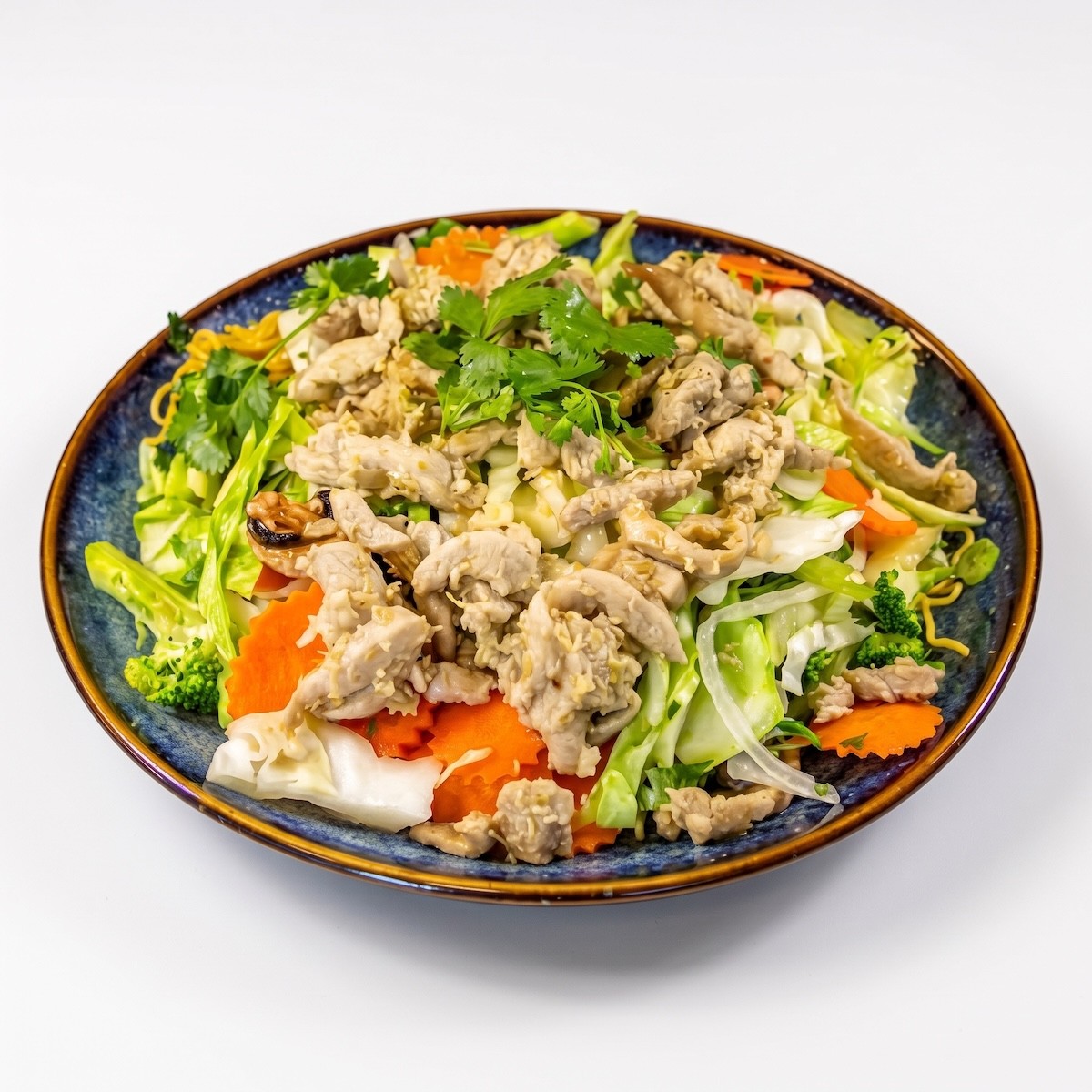 Chicken Stir-Fried Noodles.
