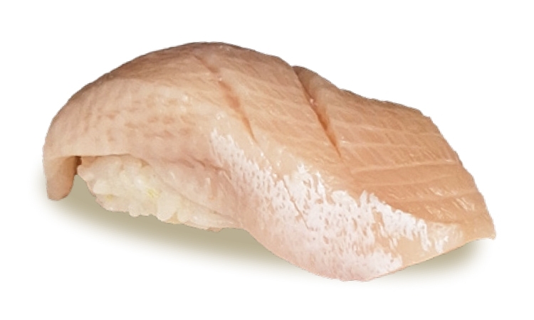 Yellowtail Belly.