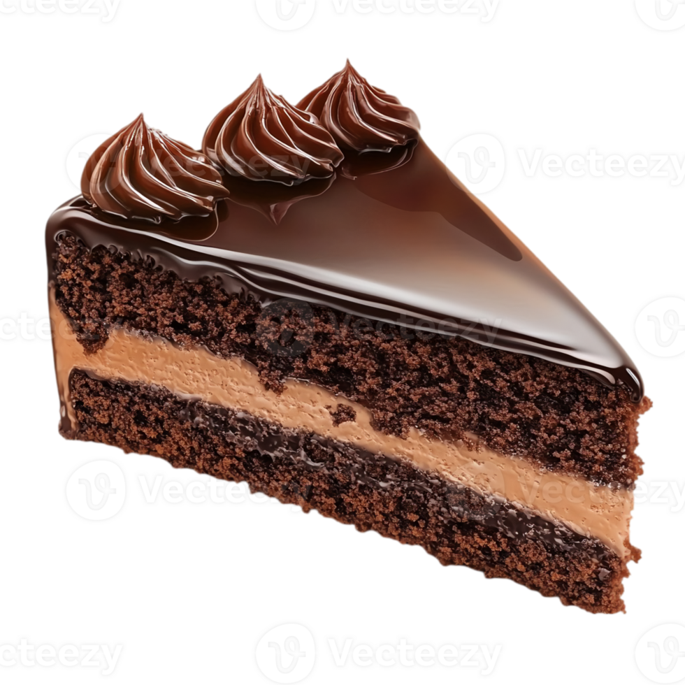 Chocolate Cake Slice.