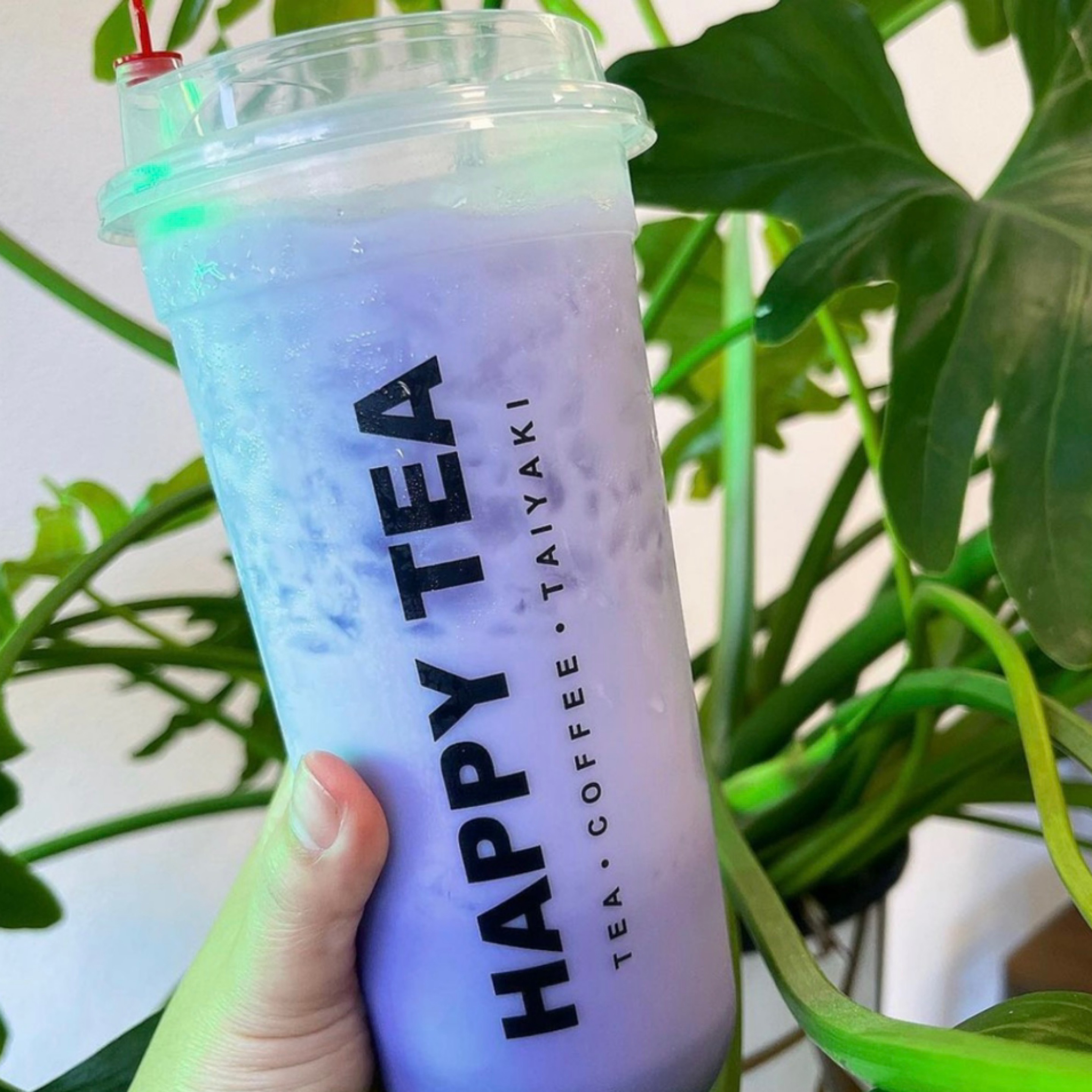 Taro Milk Tea.
