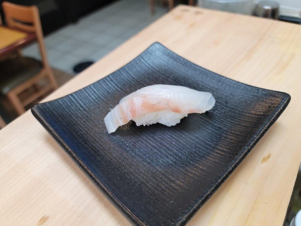 NI11-RED SNAPPER.