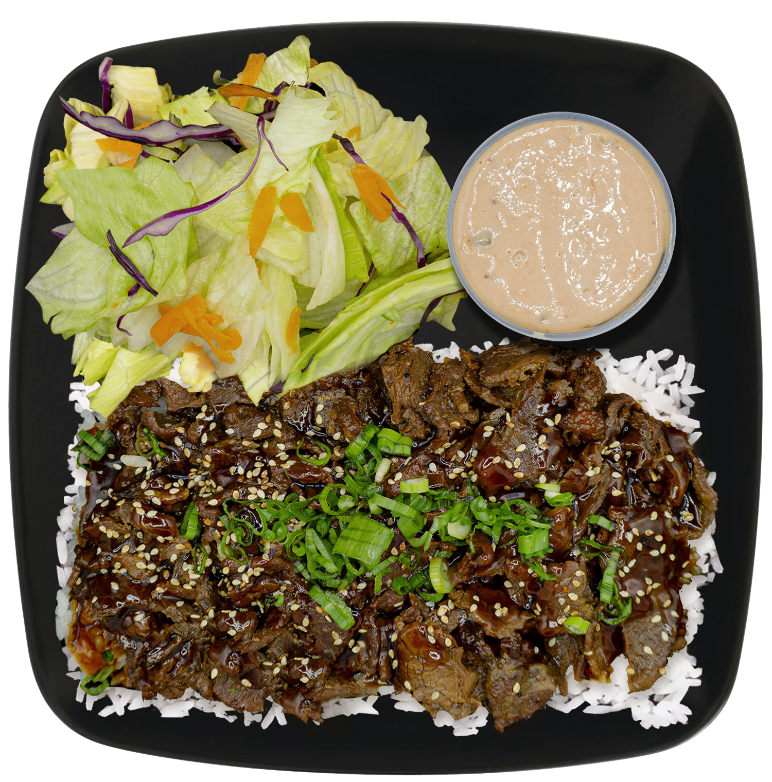 Steak Teriyaki Plate.