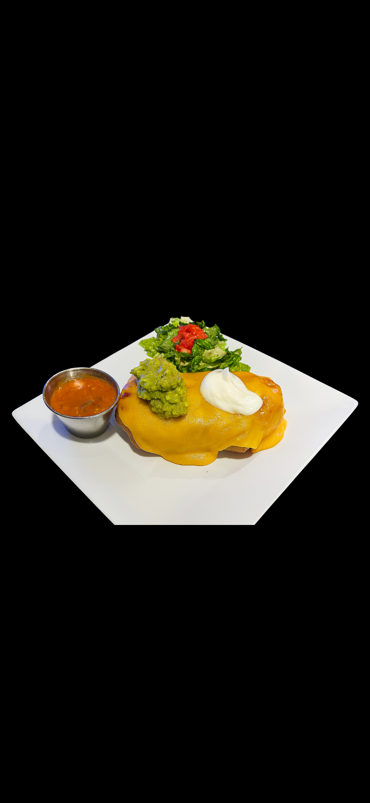 Chimichanga.