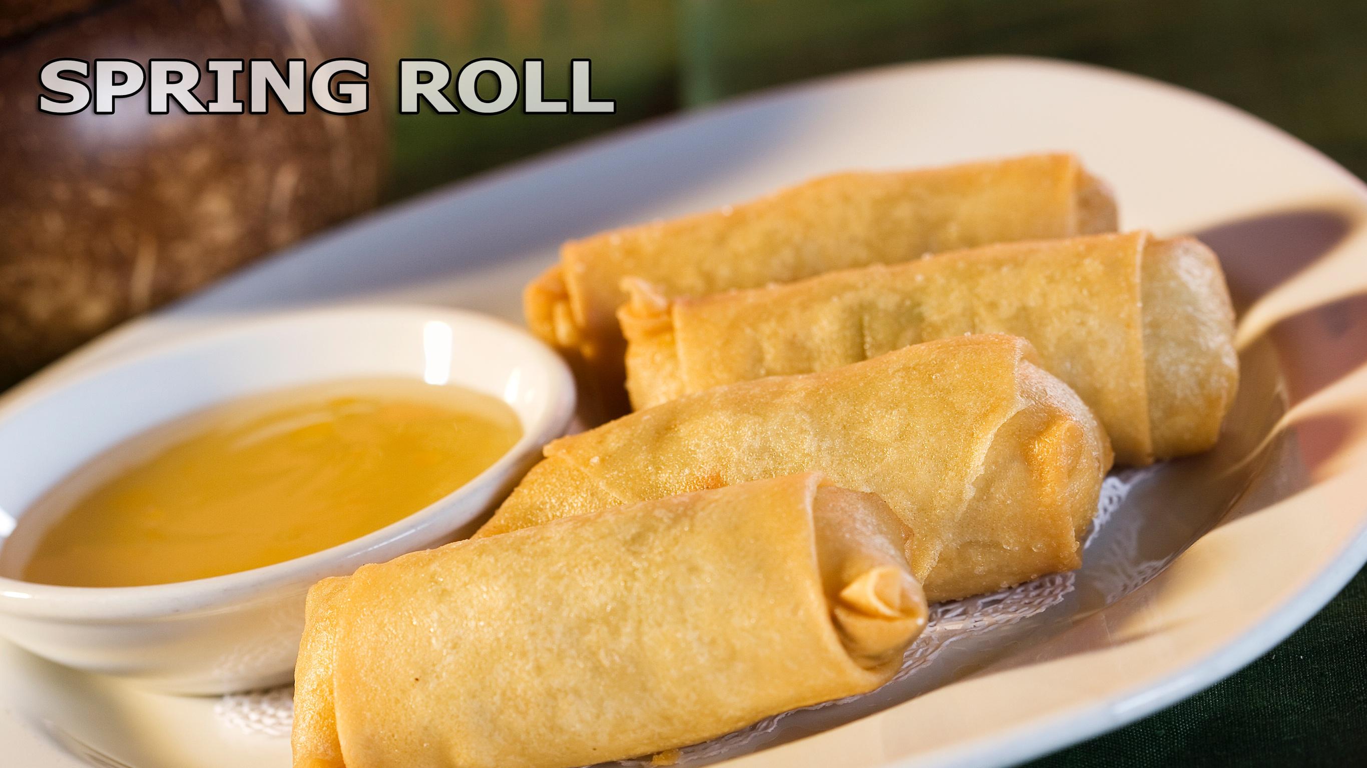 Vegetable Spring Rolls (4).