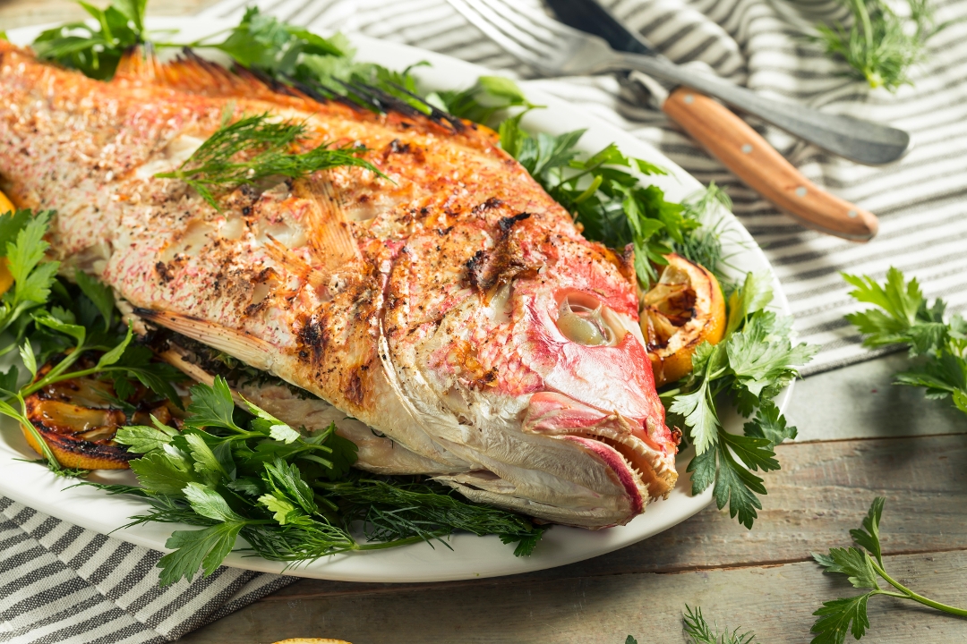 Grilled Red Snapper.