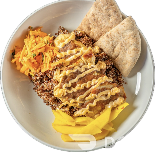 Citrus Grilled Chicken, Pickled Mango, Carrot Salad, Roasted Tomato Salsa, Chipotle Mayonnaise, 1/2 pita.