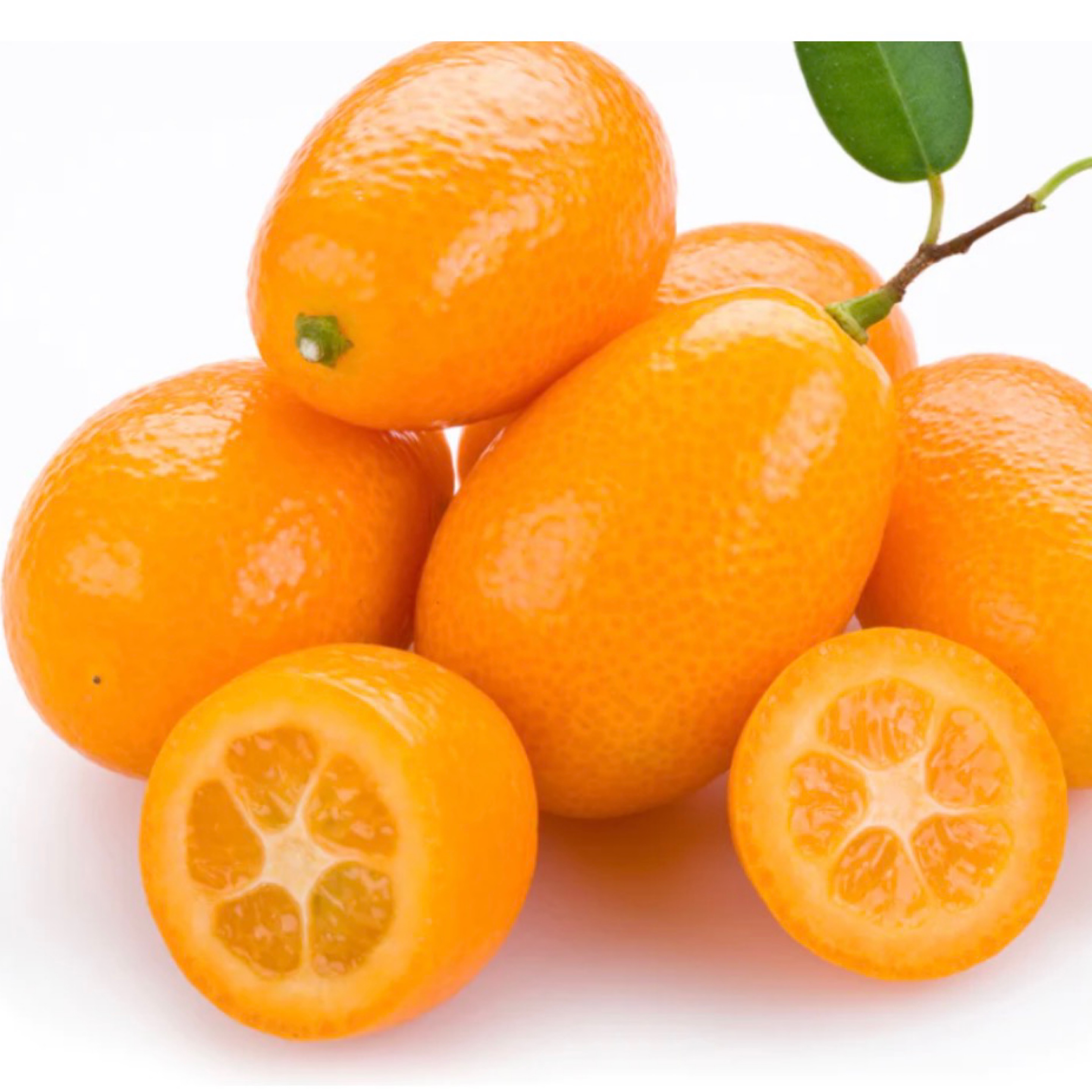 Kumquat Bliss.