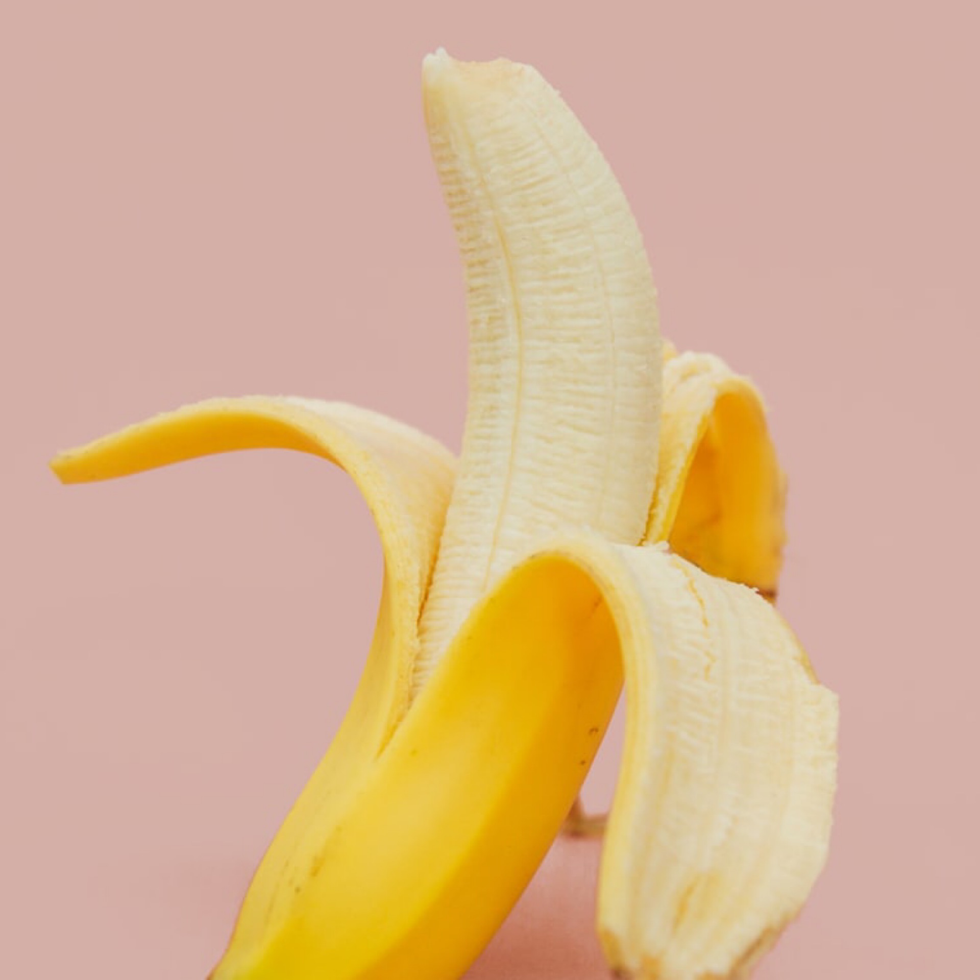 Fruit.