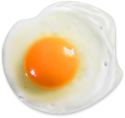 Side of Fried Egg.