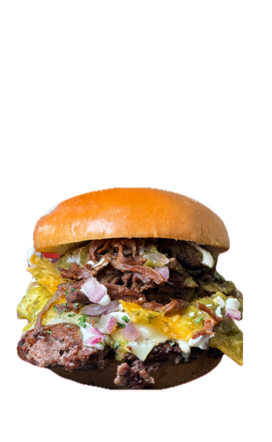 BIRRIA BURGER.