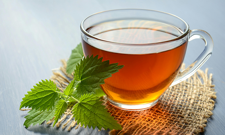 HOT TEA (ASSORTED).