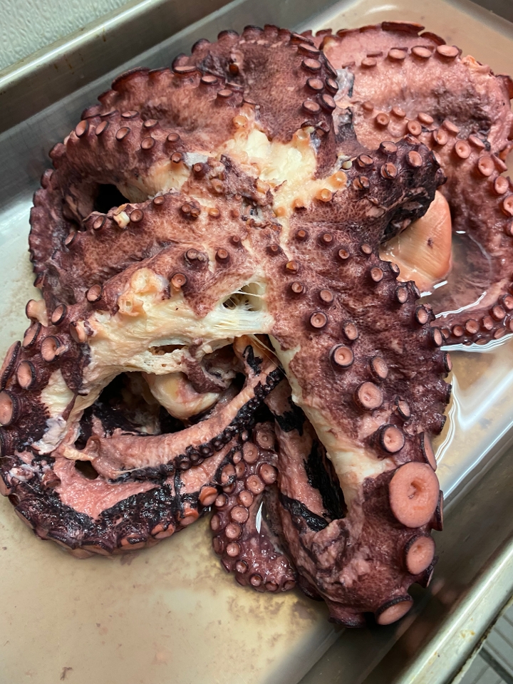 Grilled Octopus ( side).