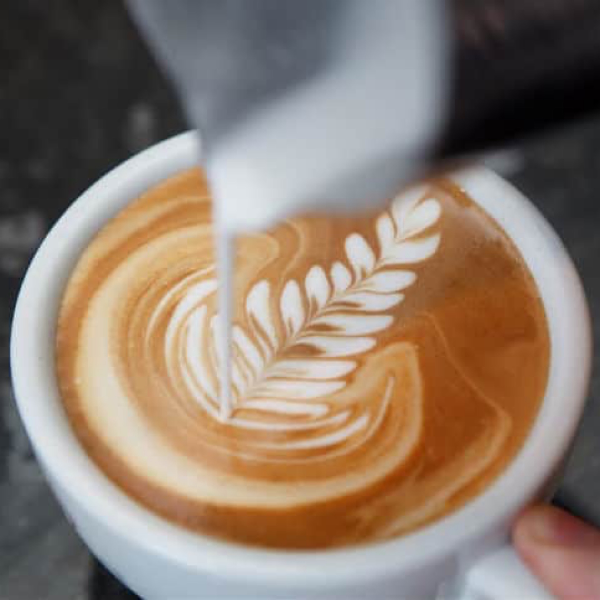 Latte.