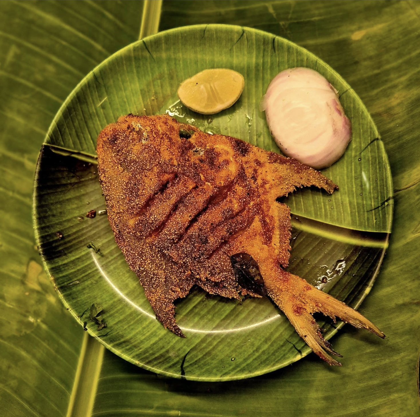 Tava Pomfret.