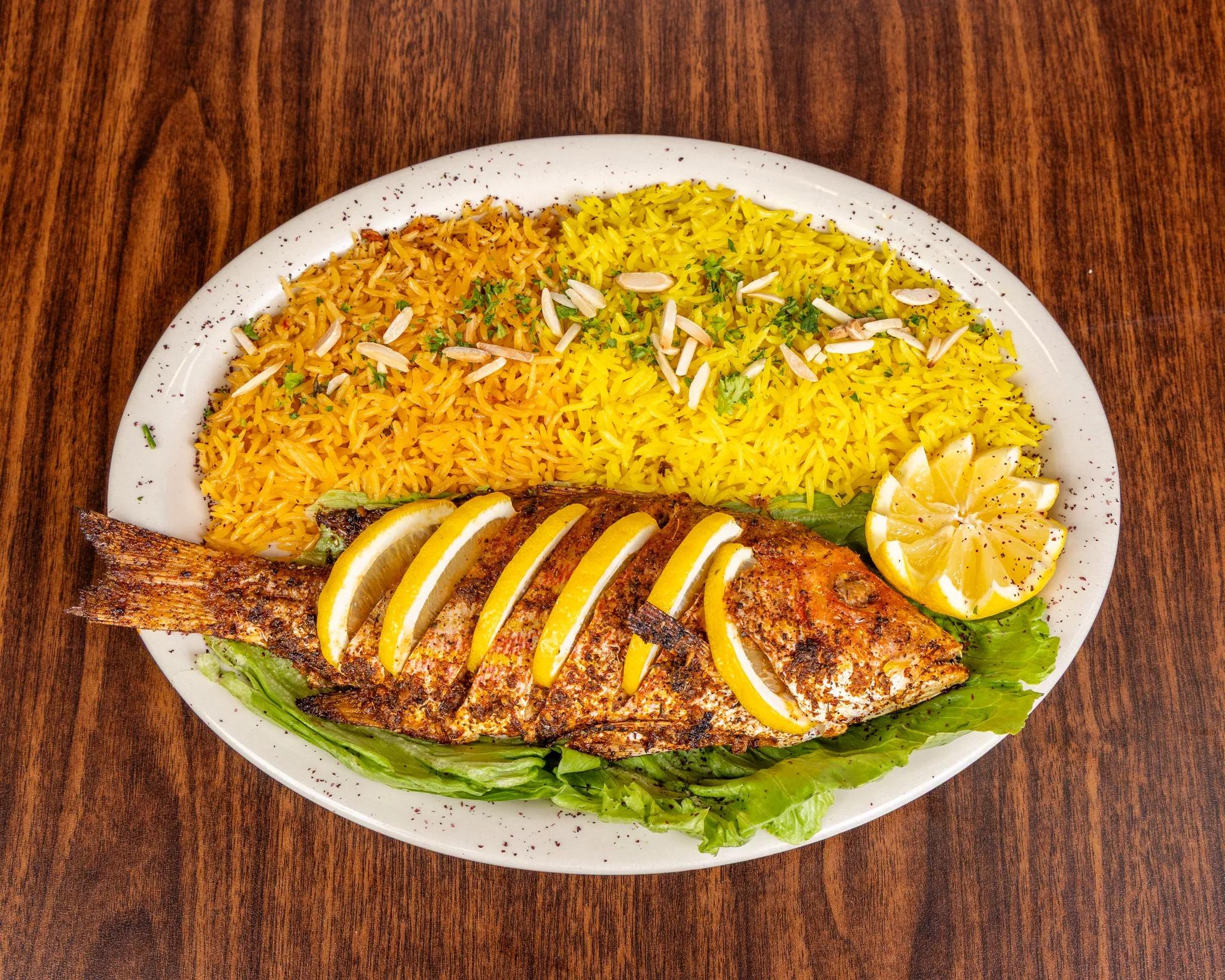Red Snapper.
