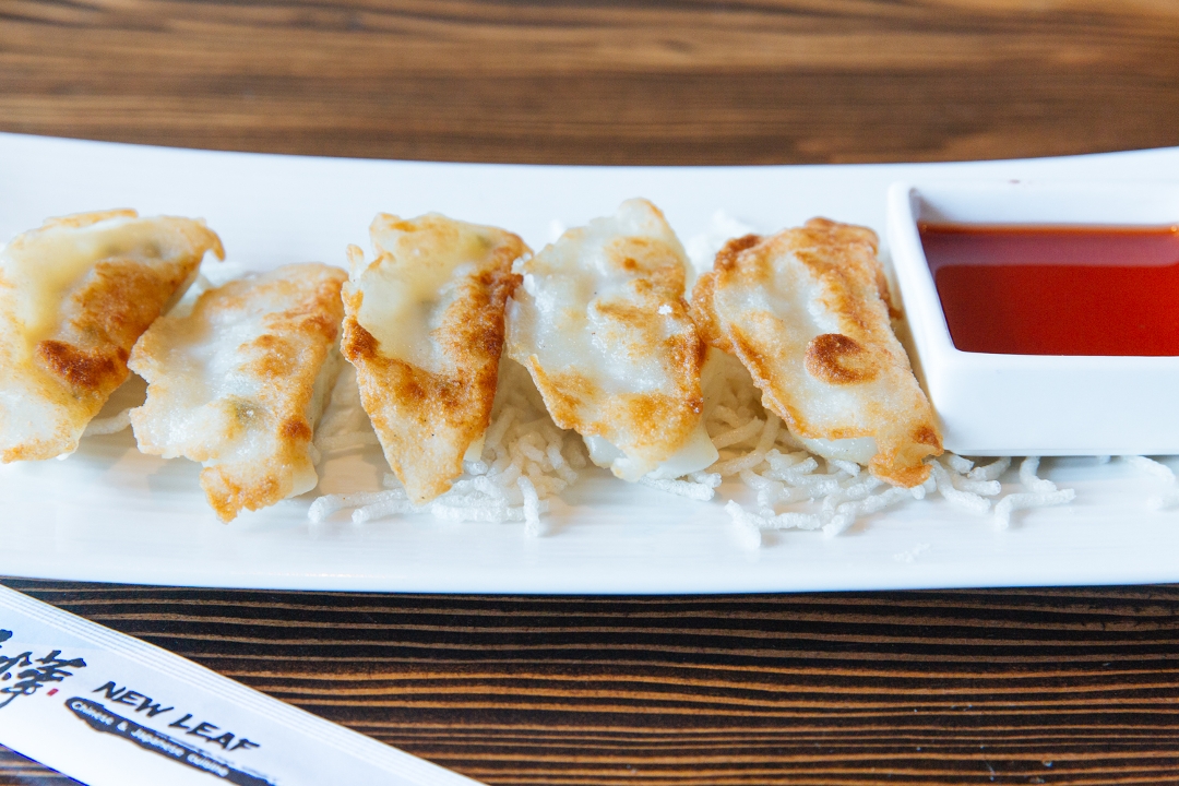 Japanese Gyoza (5).