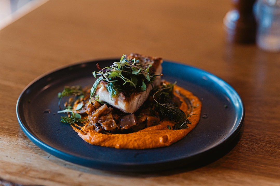Wild Striped Bass.