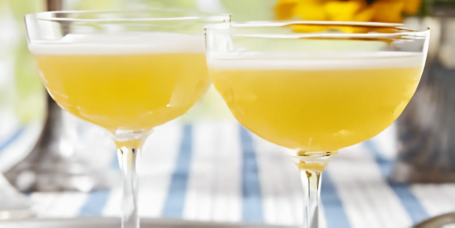 Mimosa.