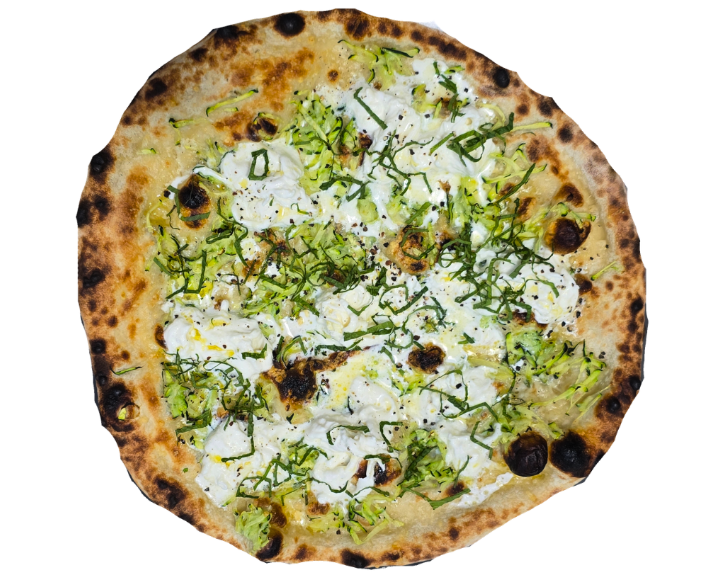 Another Zucchini Special (16").
