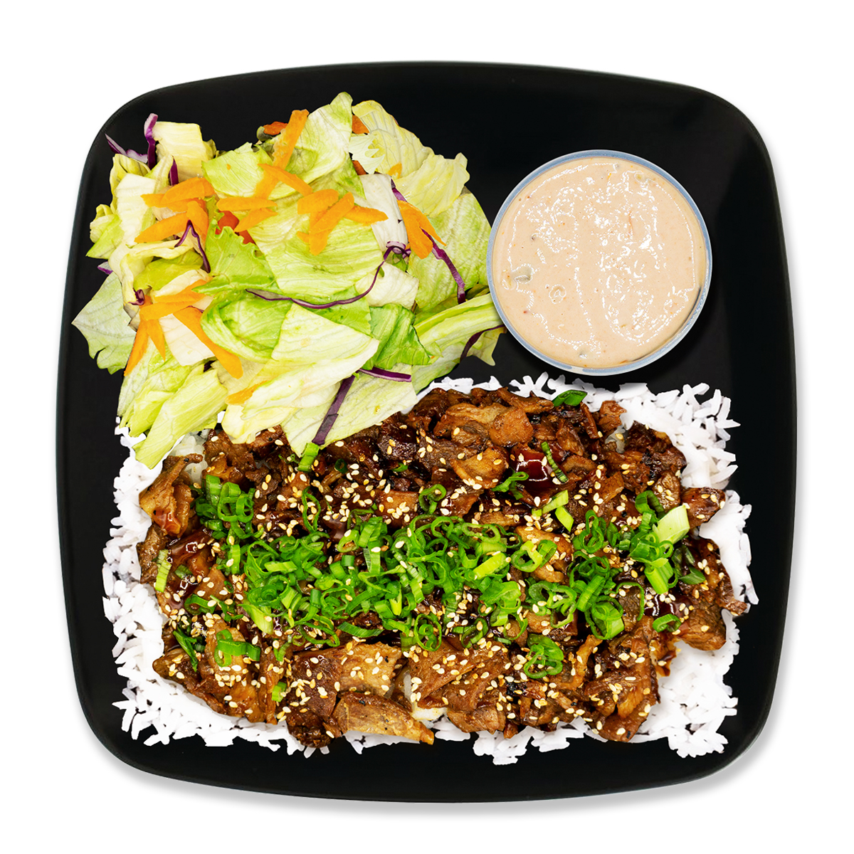 Pork Teriyaki Plate.