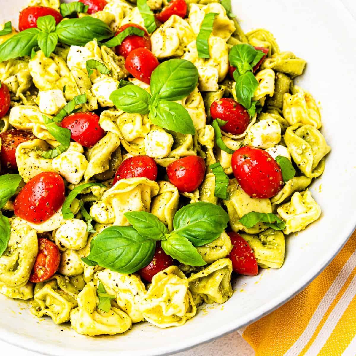 Pesto Tortellini.