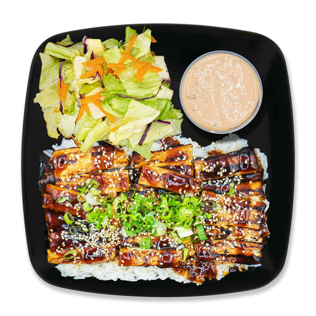 Tofu Teriyaki Plate.