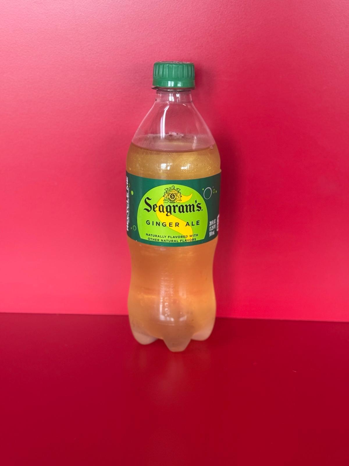 Ginger Ale 20oz.