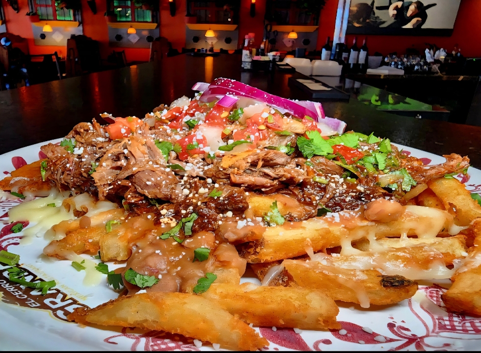 Birria Fries.