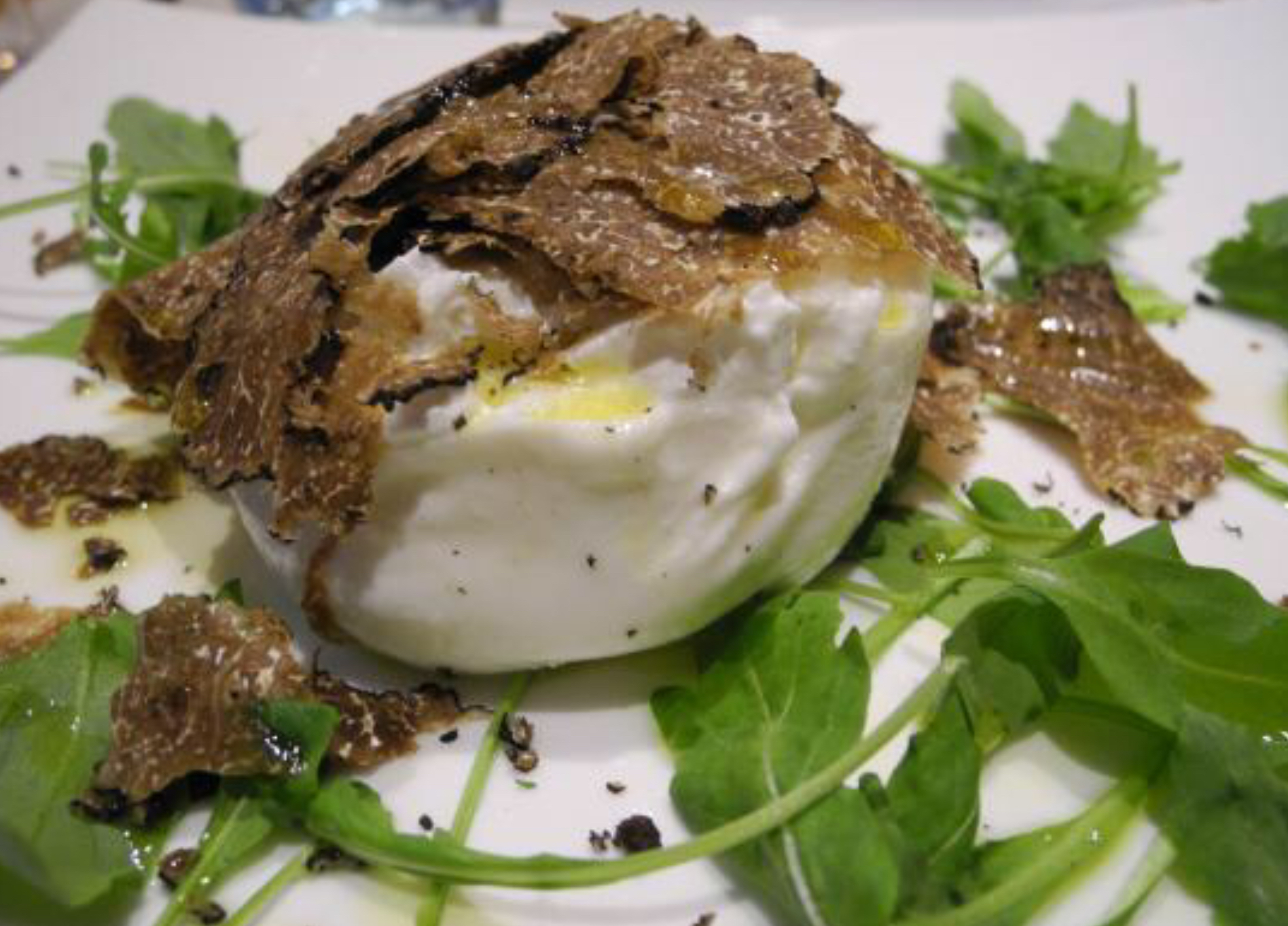 Burrata Black Truffle.