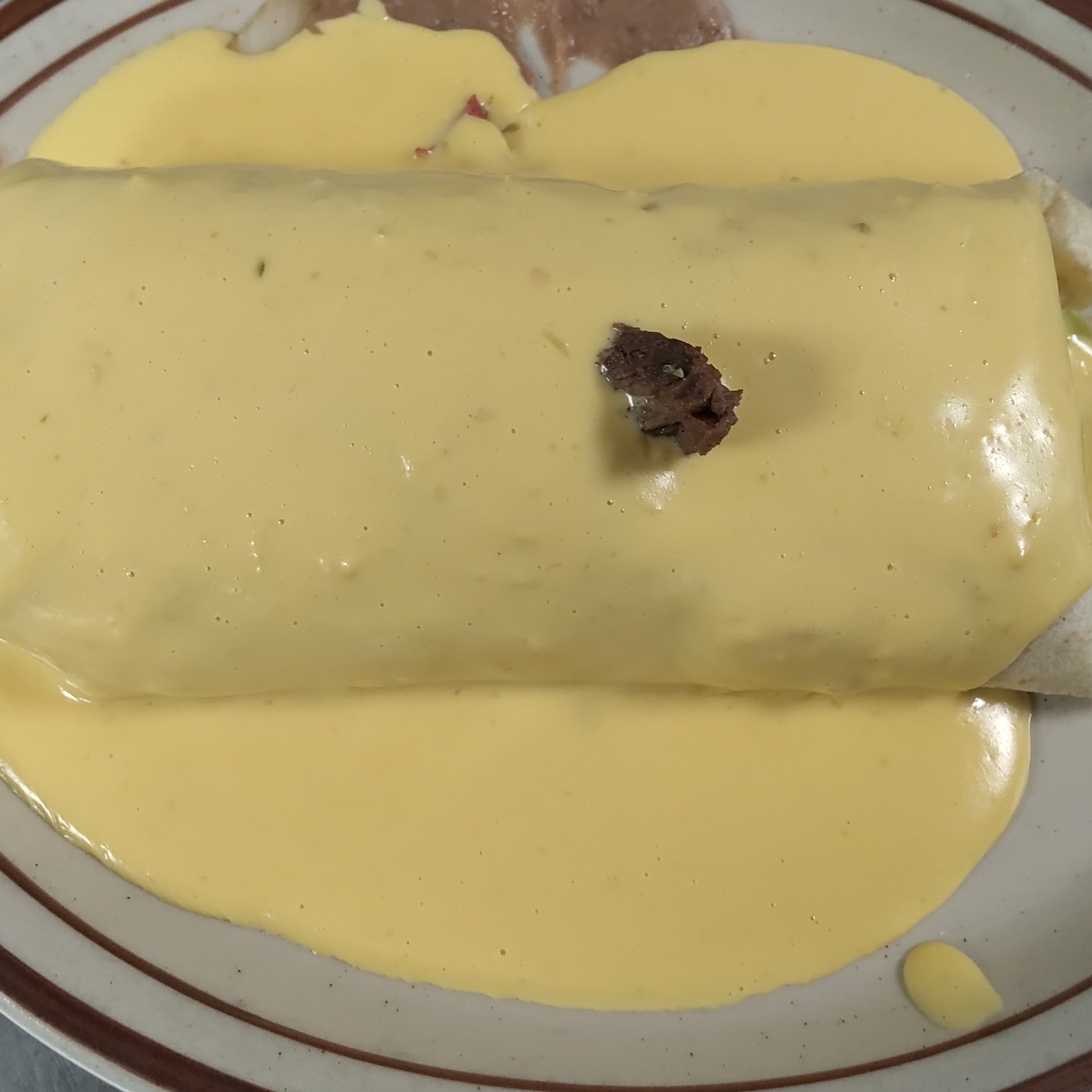Wet Fajita Burrito Steak.