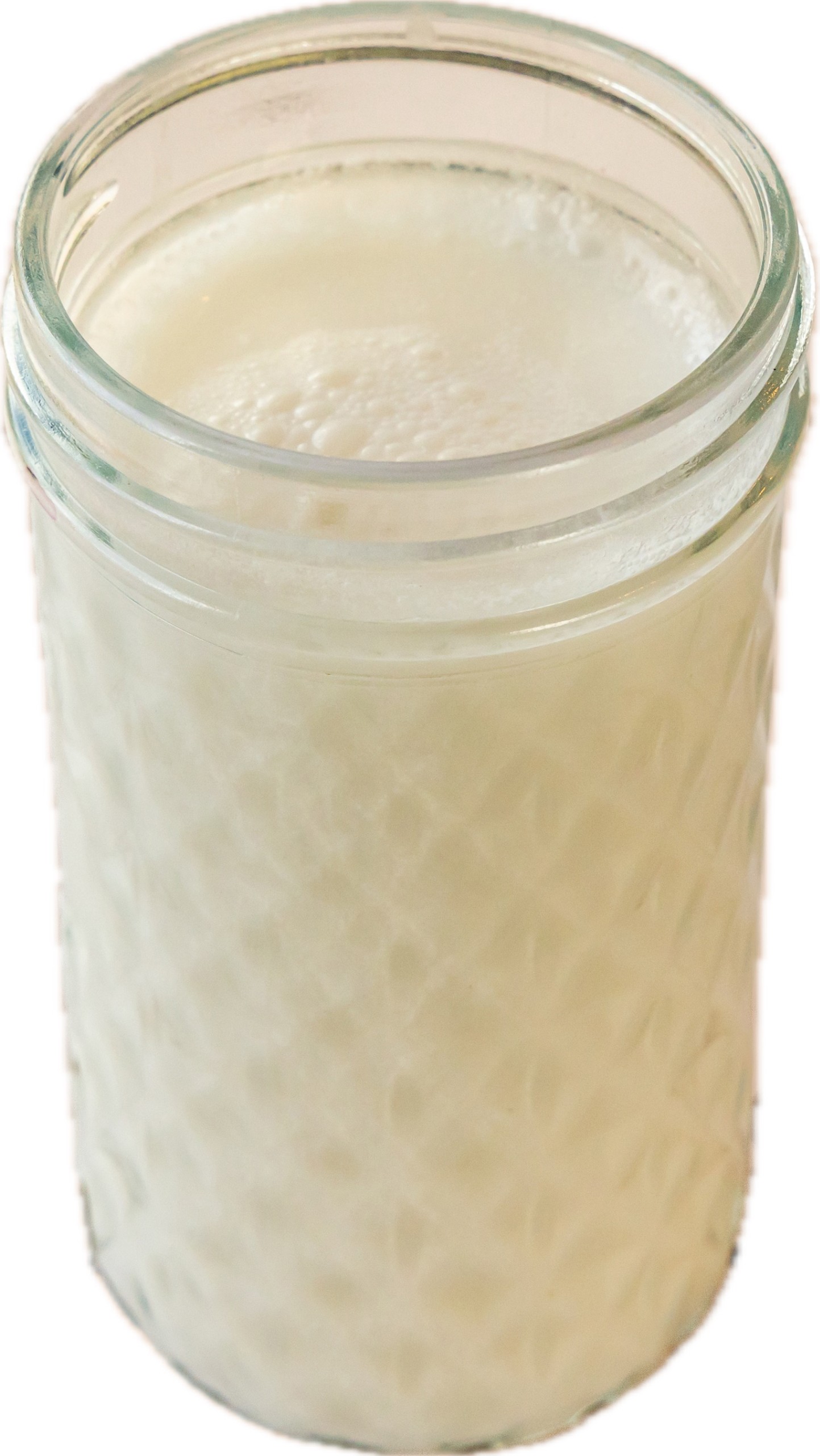 Coconut Horchata Juice (VG, GF).