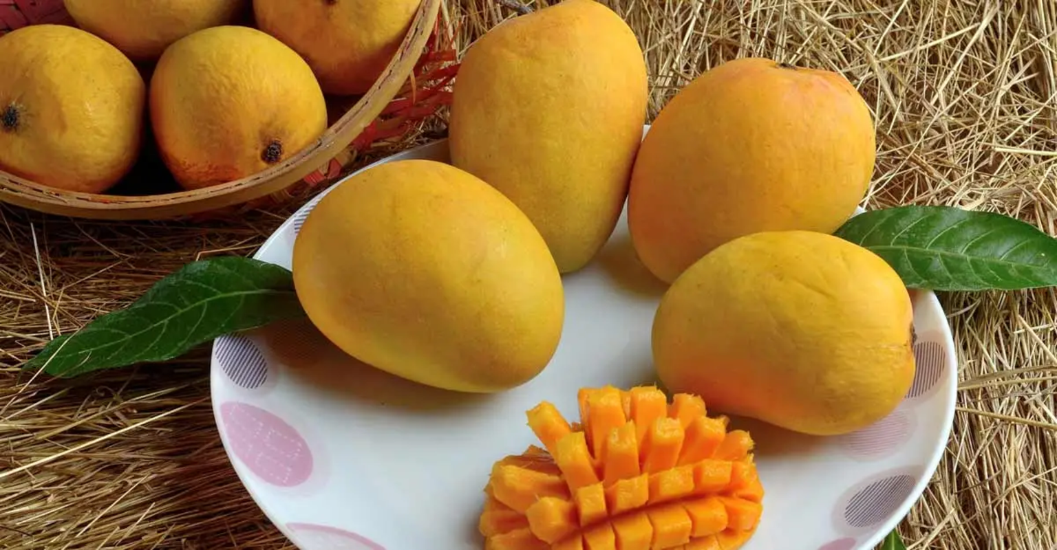 Alphonso Indian Mango Box ** ORDER NOW LIMITED AVAILABILITY **.