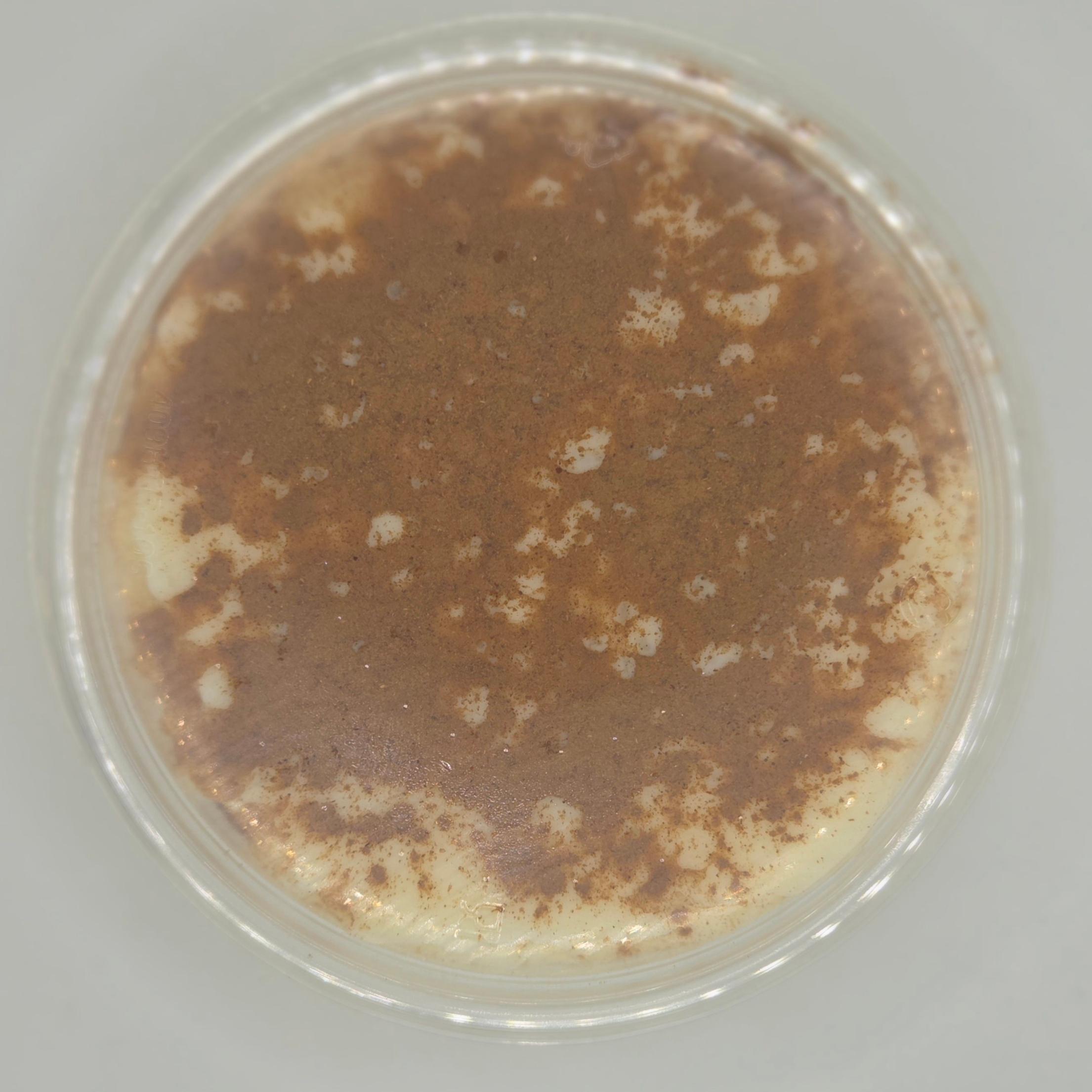 Cinnamon Rice Pudding.